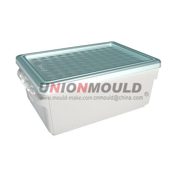 Storage-Box-Mold_27